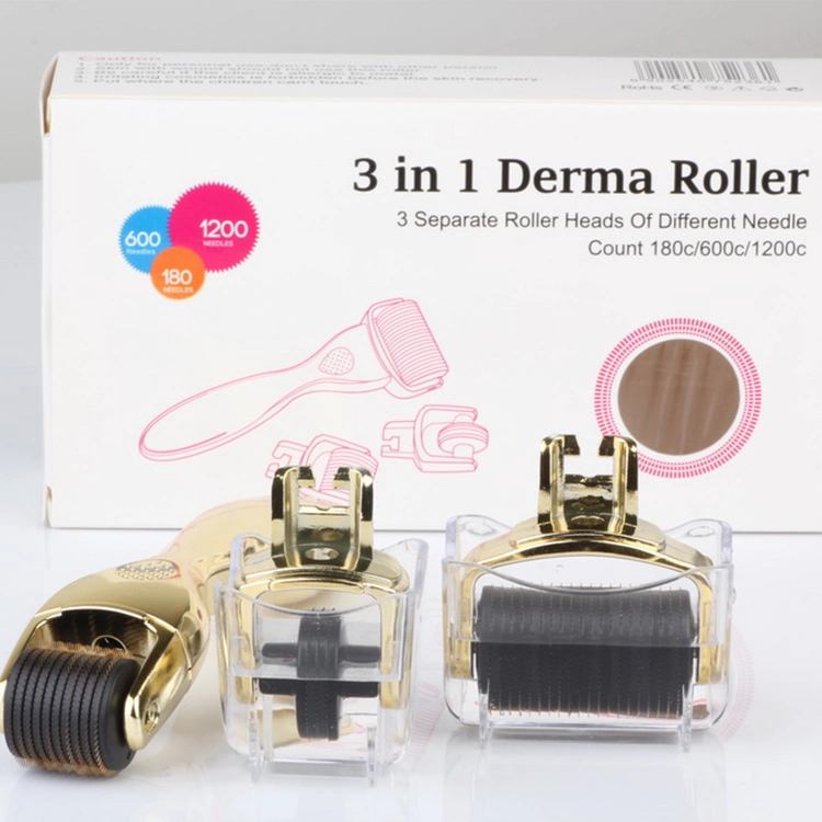 OEM / ODM tùy chỉnh thương hiệu 3 In 1 Drs Derma Roller For Anti Aging Stainless Steel Titanium 0