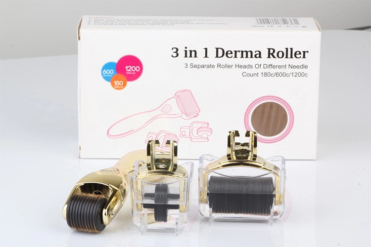 OEM / ODM tùy chỉnh thương hiệu 3 In 1 Drs Derma Roller For Anti Aging Stainless Steel Titanium 2